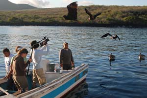 Students photograph birds in the Galapagos as part of the new interdisciplinary course The Practice of Environmentalism: Science, Policy and Communication in the Field